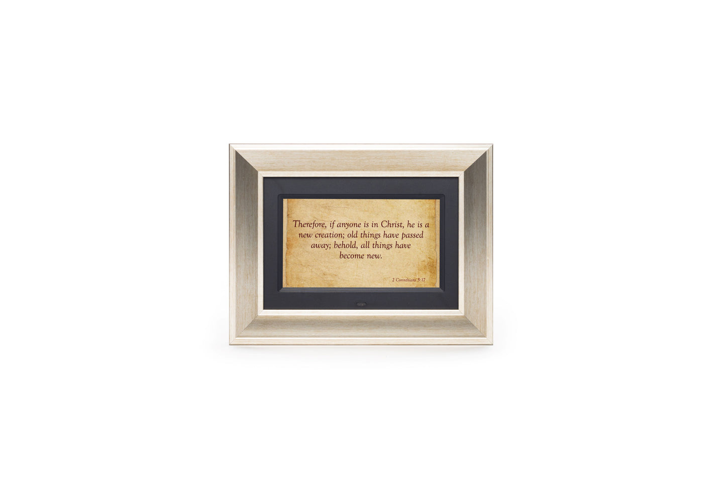 Rapha Frames - 7"
